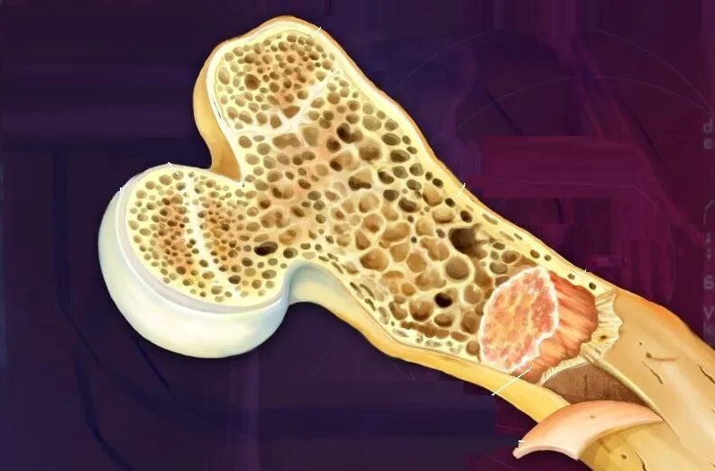 Фото: biomedstem.ru